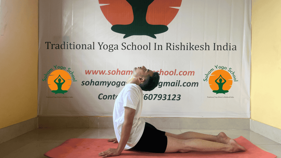 Bhujangasana (Cobra Pose) Steps, Benefits, Contraindications, and Modifications